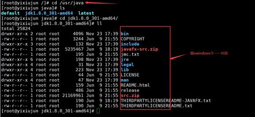 Linux系列（六） 手动命令安装软件与服务器基本环境搭建